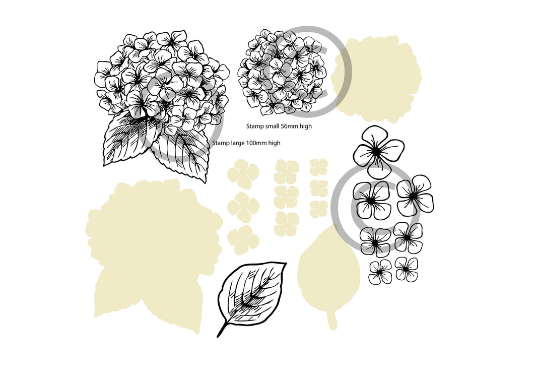 Build a Hydrangea Die and Stamp
