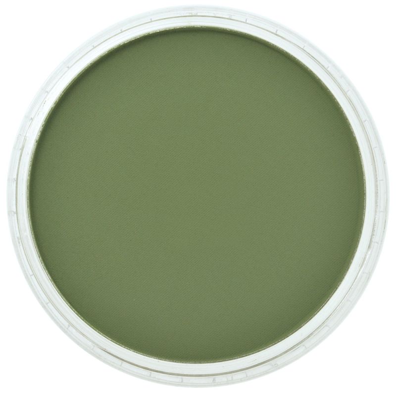 PanPastel Chrome Oxide green shade