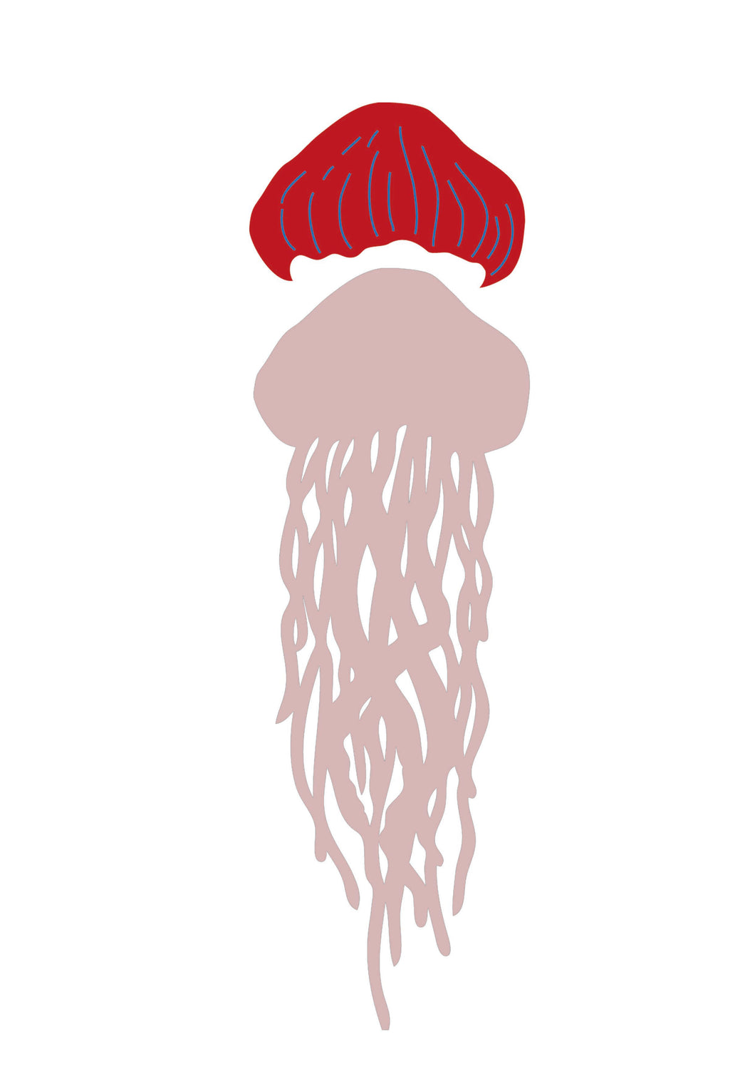 Jelly Fish