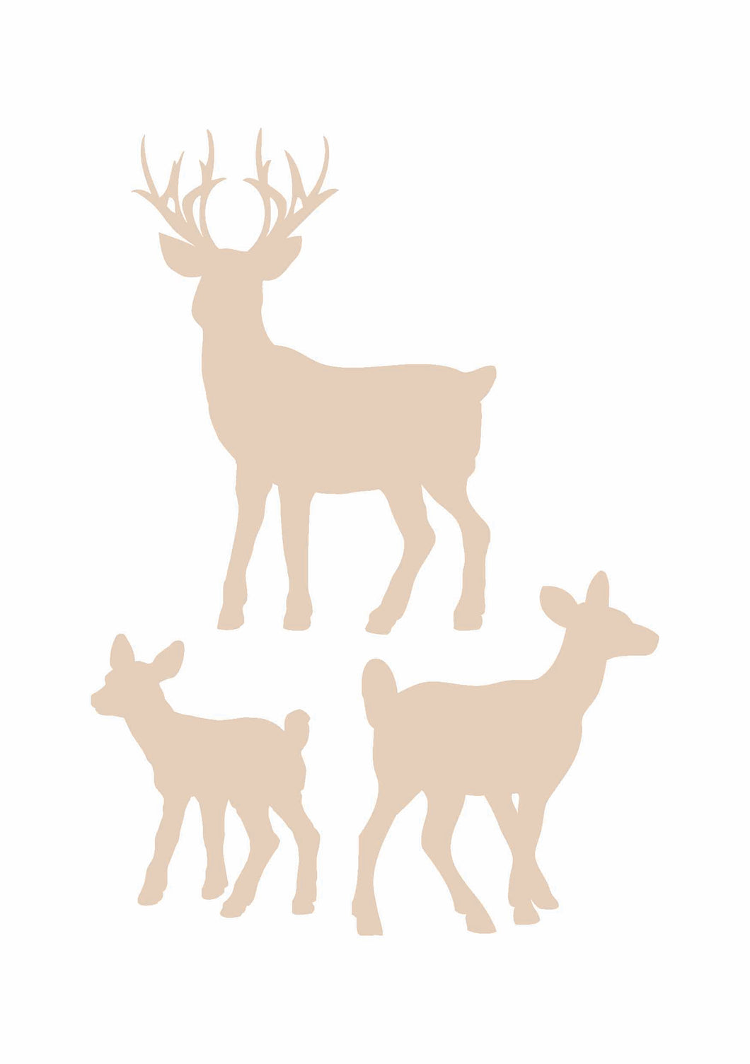 Doe and Deer