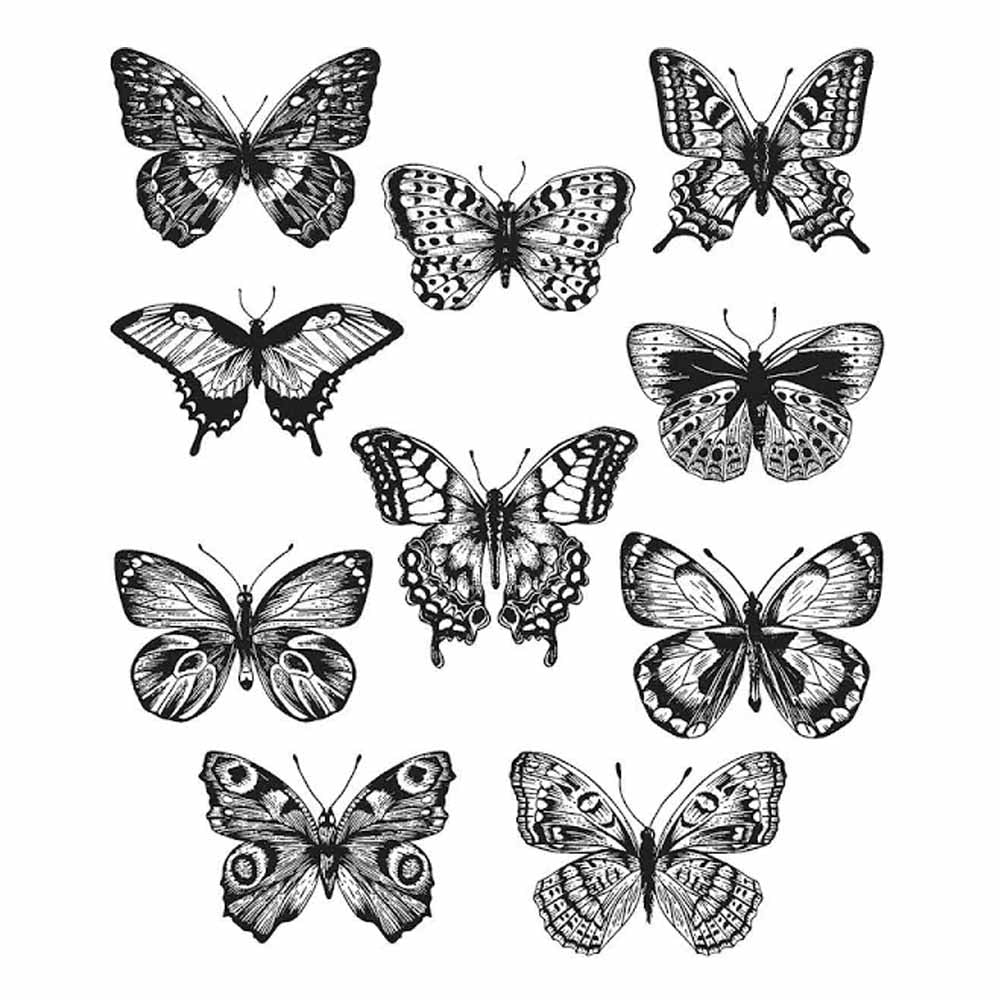 Tim Holtz Stampers Anonymous Flutter CMS294